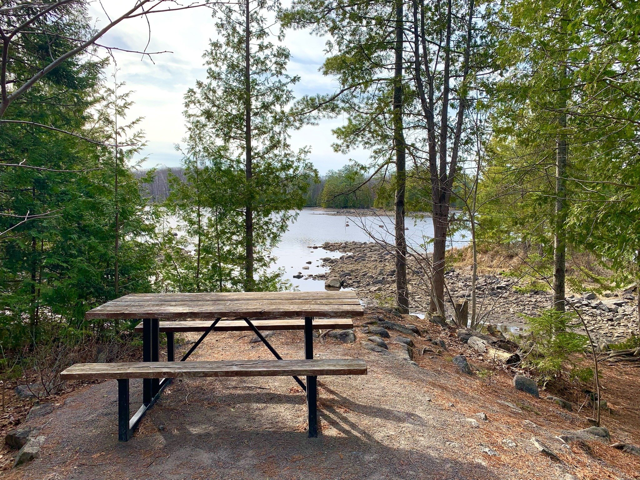 A quiet bench along the conservation trail