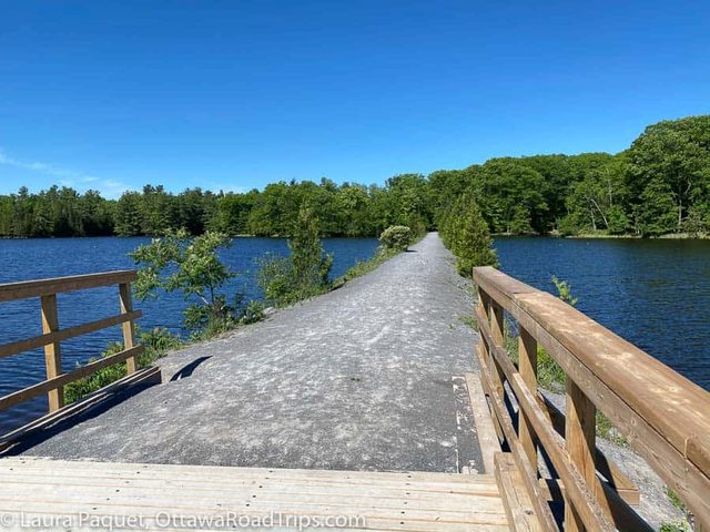 Boardwalk trail over the wetland at Morris Island Conservation Area